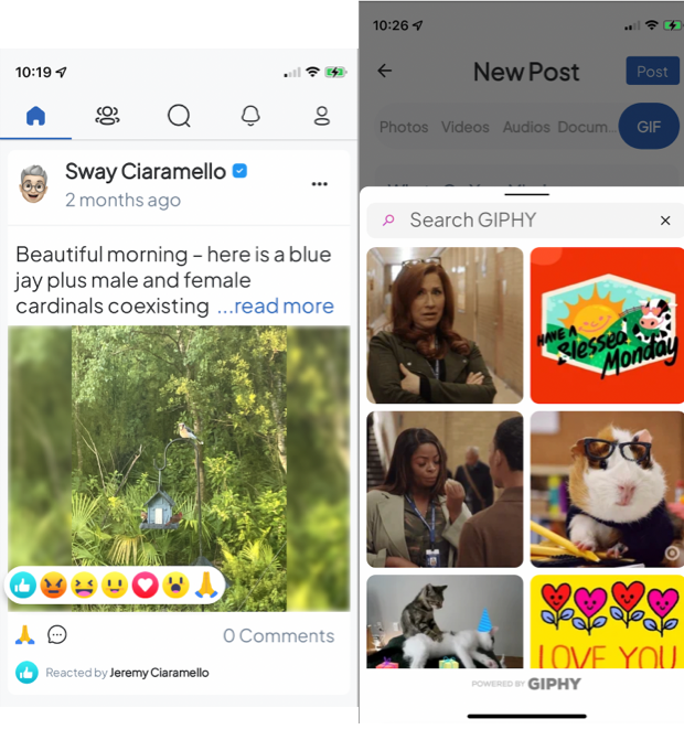 reactions-giphy4 reactions-giphy4